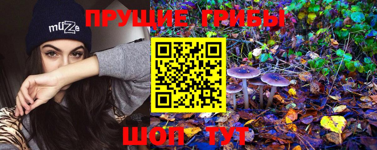 Галлюциногенные грибы Cubensis Дмитров