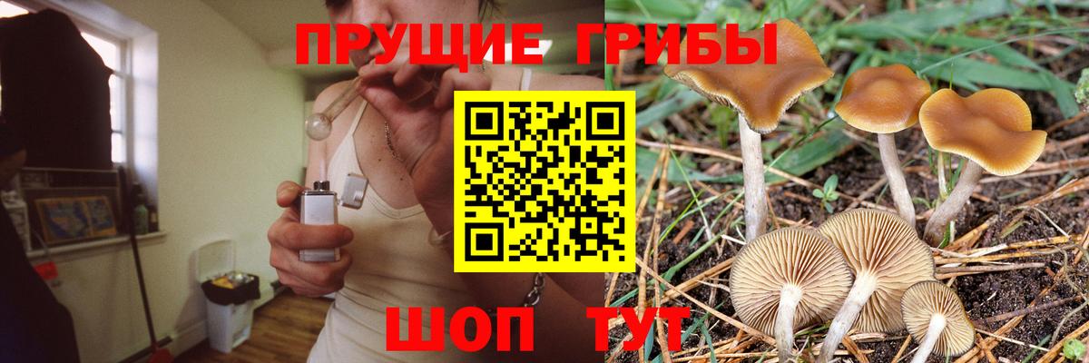 Галлюциногенные грибы Psilocybe  Псилоцибиновые грибы Magic Shrooms  Вход с VPN  Дмитров 