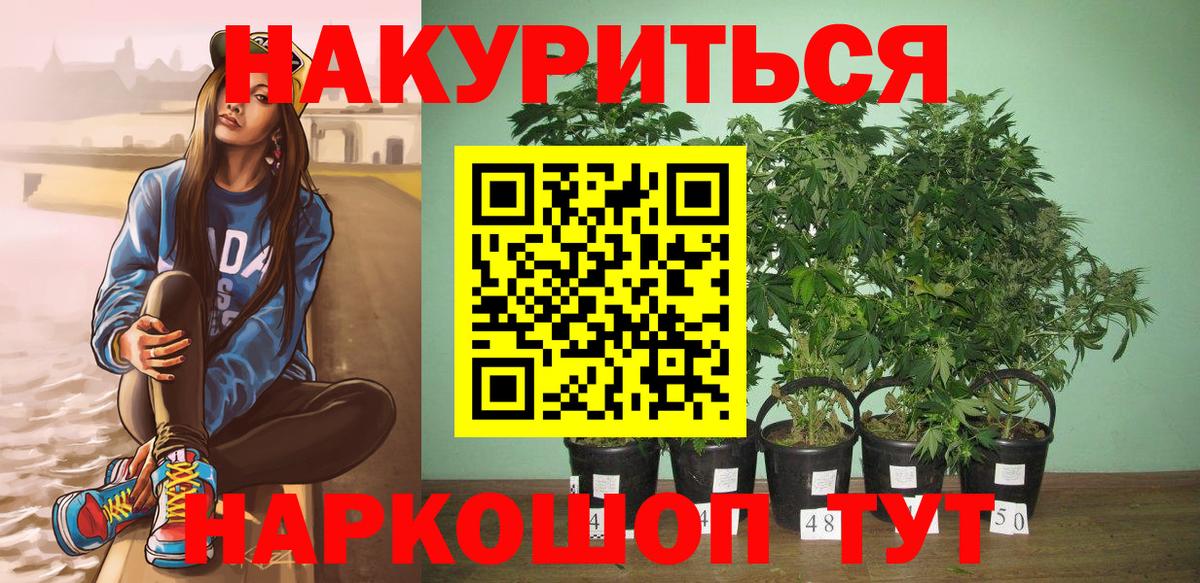 Каннабис планчик Дмитров
